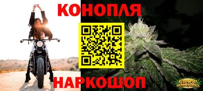 spice Кандалакша