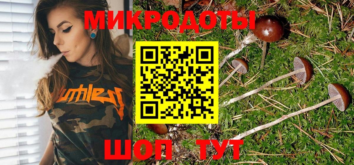 наркота  Вход с VPN  Псилоцибиновые грибы Psilocybine cubensis  Полевской  Галлюциногенные грибы Psilocybe 